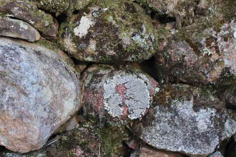 화순 계당산 쌍봉사 화순 계당산 쌍봉사