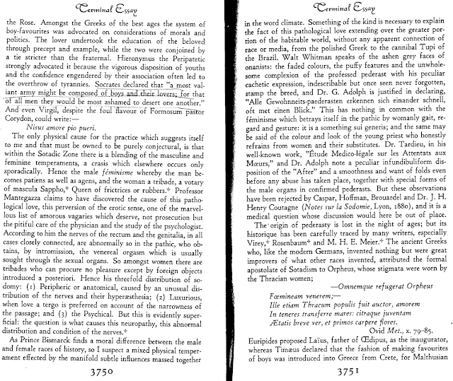 Essay on meaning of freedom picture 5