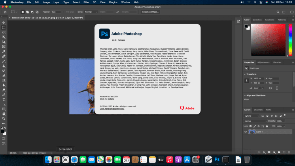 adobe photoshop elements 2021 download link adobe photoshop elements 2021 download link