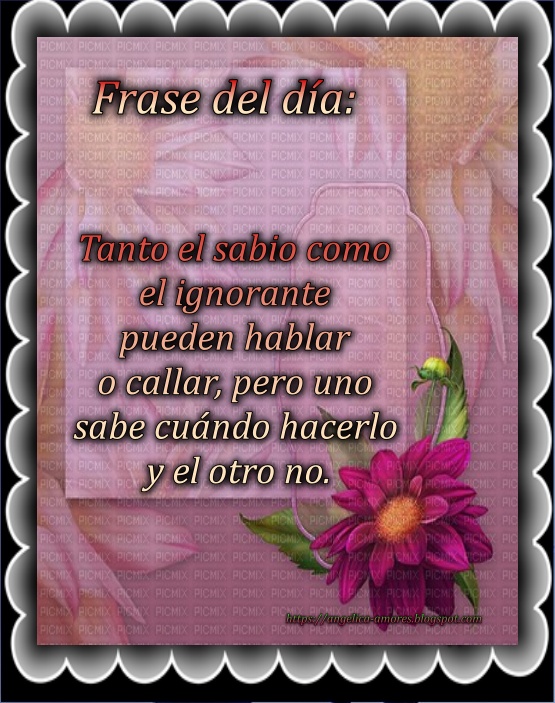 Sueños de Amor Y Magia: Frase del día