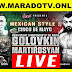 Gennady Golovkin vs Vanes Martirosyan