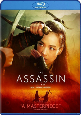 The Assassin 2015 BRRip 800Mb Hindi Dual Audio 720p