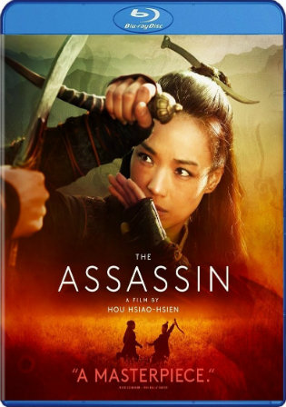 The Assassin 2015 BRRip 300Mb Hindi Dual Audio 480p Watch Online Full Movie Download HDMovies4u The Assassin 2015 BRRip 300Mb Hindi Dual Audio 480p Watch Online Full Movie Download HDMovies4u