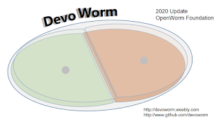 Darwin Image
