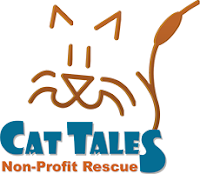 cat%2Btales%2Blogo.png