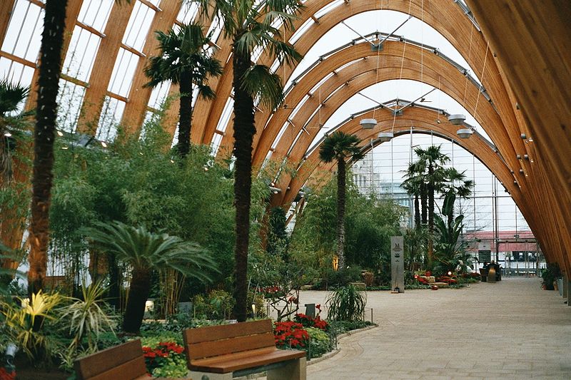Escudriñar Suelto Amabilidad Jardín de Invierno en la Ciudad: Sheffield's Winter Garden - EL BLOG DE LA  TABLA