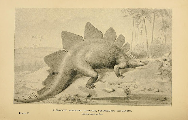 Гигантский бронированный динозавр, или стегозавр (A Gigantic Armoured Dinosaur, or Stegosaurus ungulatus),длиной около 30 футов