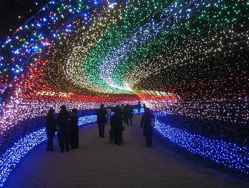 Japan's Winter Lights Festival