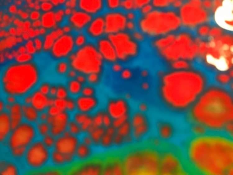 Viane Elisa JOURNAL DU CORPS