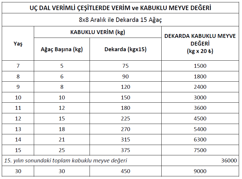 1 Ceviz Agaci Kac Kilo Verir Gunes Fidancilik