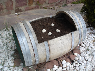 El jardín en macetas: La madera en el jardín