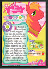 My Little Pony Big Macintosh Series 1 Trading Card