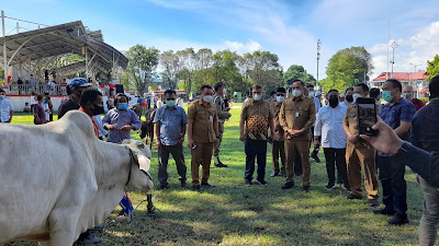 Pemkot Manado Sumbang 42 Ekor Sapi Kurban Untuk Perayaan Idul Adha