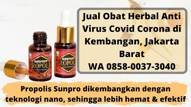 Jual Obat Herbal Anti Virus Covid Corona di Kembangan, Jakarta Barat WA 0858-0037-3040