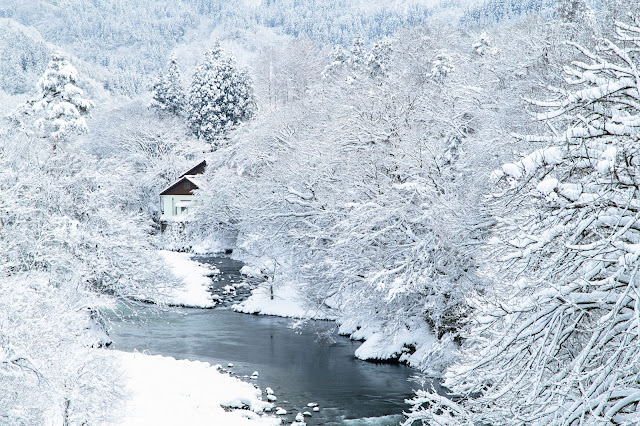 #photo #landscape #sigma #foveon #sdquattroh #japan #yamagata #tsuruoka #写真 #風景写真 #山形帝國 #山形県 #鶴岡市