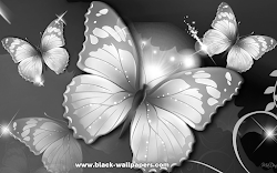 16 best black wallpaper for girls