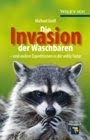 Waschbär