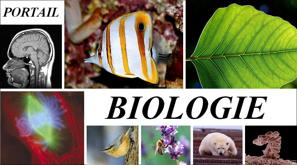 C’est quoi la biologie