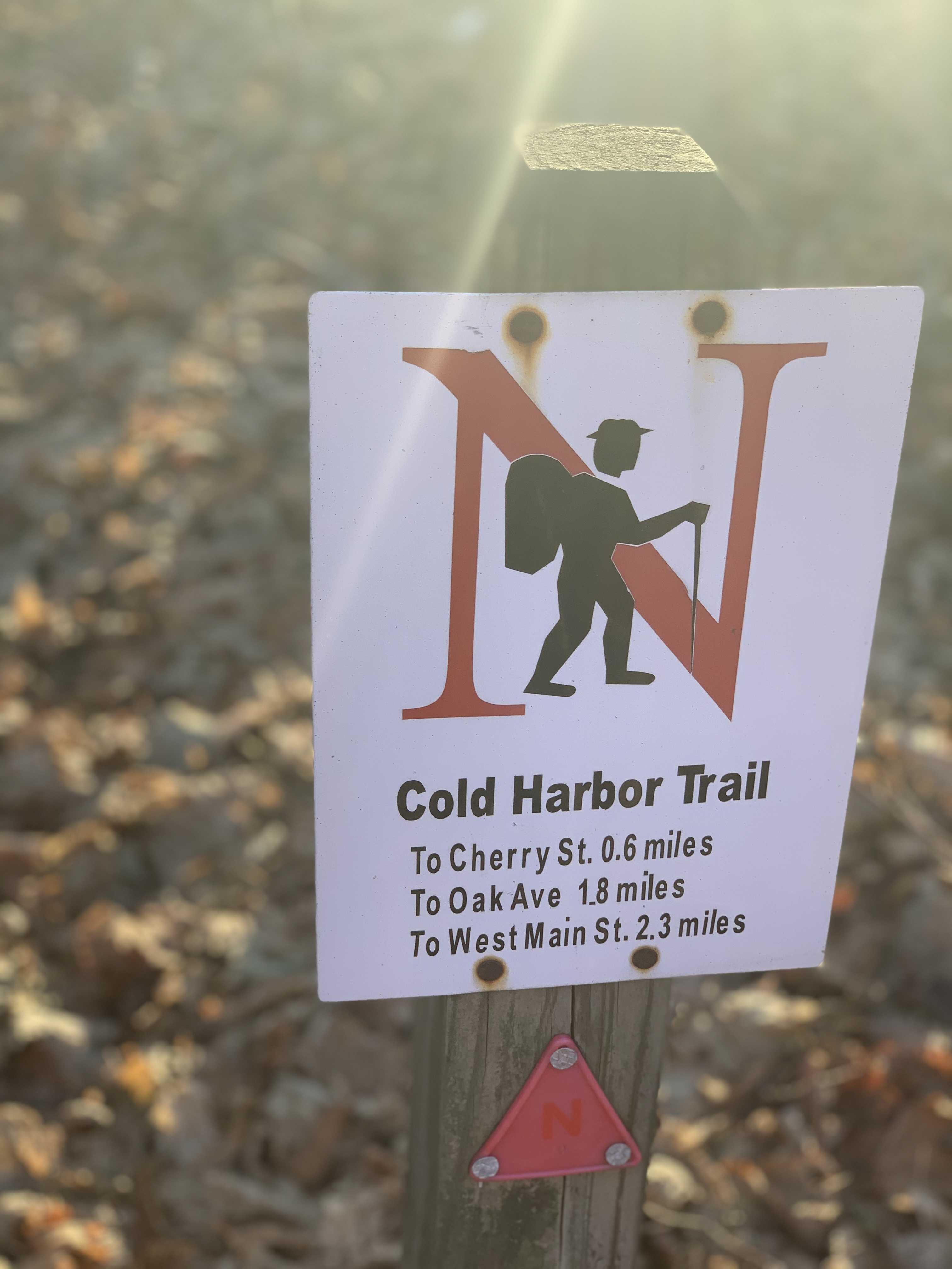 Cold Harbor Trail and Carney Park (Northborough, MA) JCXC