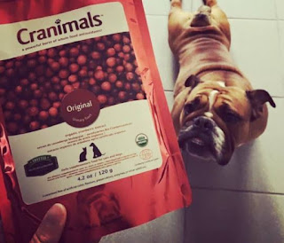 cranimals for dogs