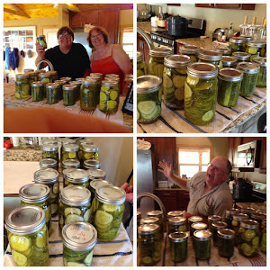 12 quarts and 8 pints of dill pickles!