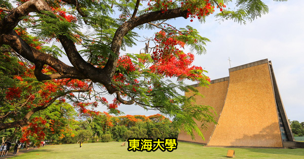 台中西屯|東海大學|路思義教堂|文理大道|東海湖|東海牧場|鳳凰花|木棉道|乳品小棧 台中西屯|東海大學|路思義教堂|文理大道|東海湖|東海牧場|鳳凰花|木棉道|乳品小棧
