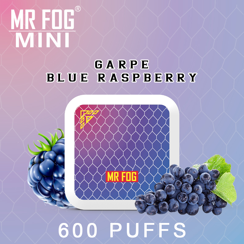 MR FOG MINI Grape Blue Raspberry