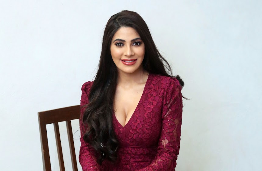 Nikki Tamboli at Chikati Gadhilo Chithakottudu Success Meet