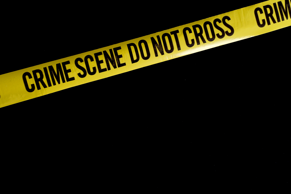 SafeGrowth Uncovering the Great Murder Mystery SafeGrowth Uncovering the Great Murder Mystery