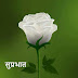 Top 10 Good Morning Images, Greetings, Pictures for Whatsapp and bestwishespics