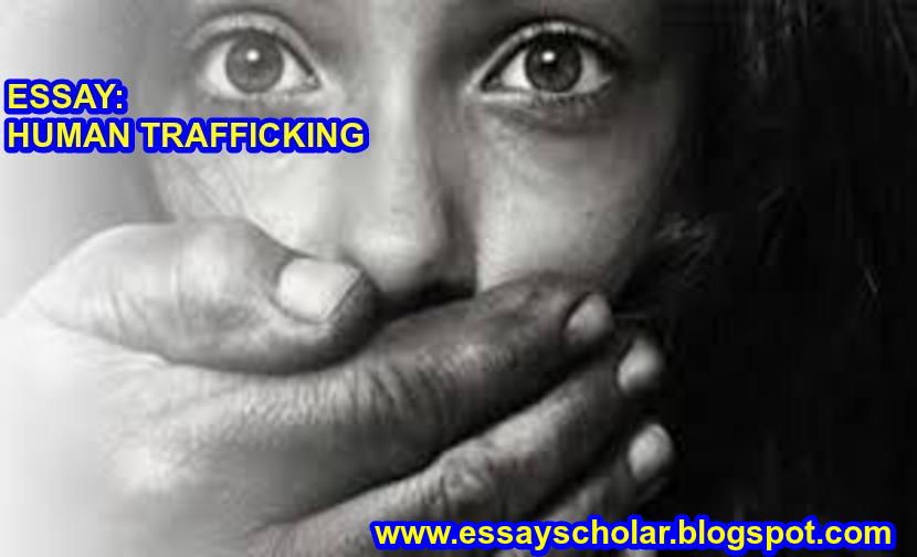 Smuggling essay quotes picture