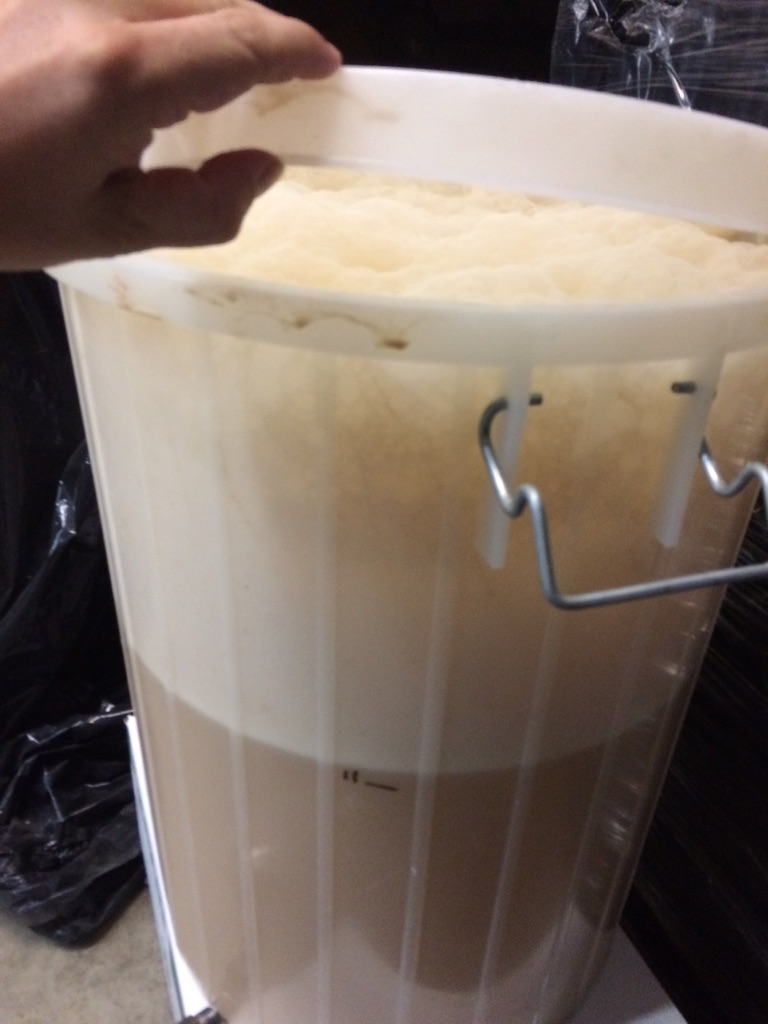 What is the 'krausen' in home brewing? How to Home Brew Beer