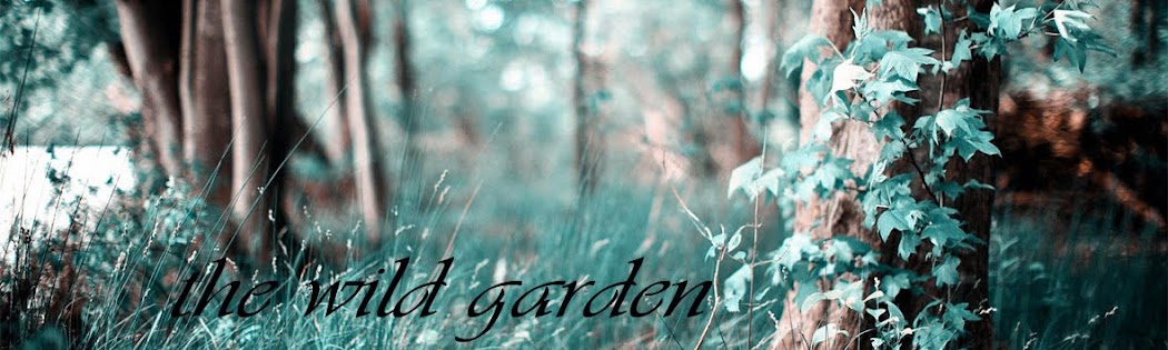 the wild garden