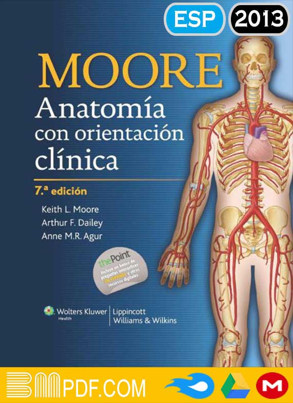 Moore Anatomia con orientacion clinica 7ma edición PDF