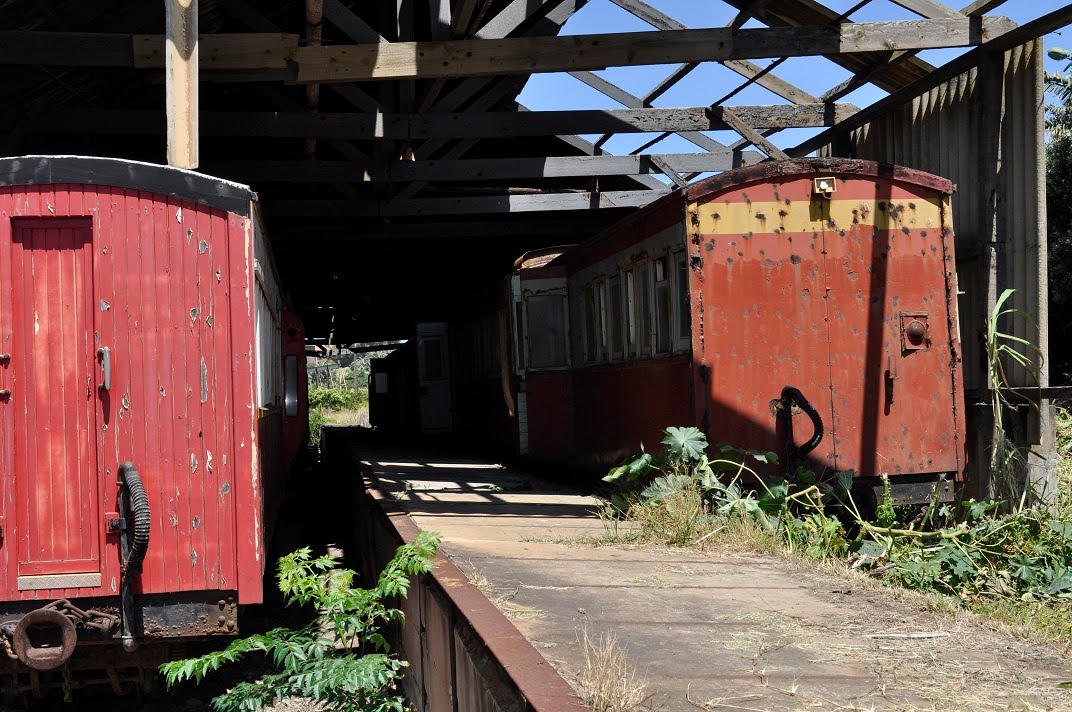 SAR CONNECTA Banana Express Narrow Gauge Port Shepstone (26th