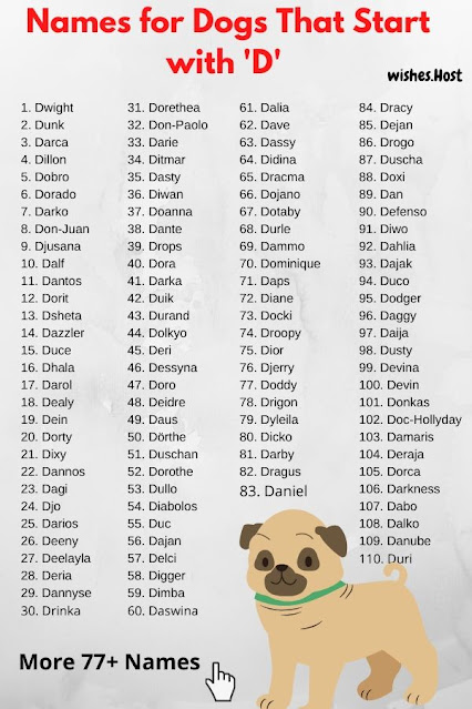 Dog Names That Start with D for Girl and Boy Dog