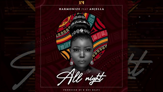 Harmonize Ft Anjella - All Night (Official Audio)