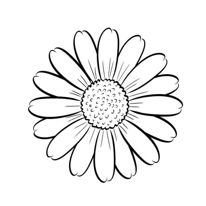 Printable Sunflower Coloring Pages - Yuk Sebar