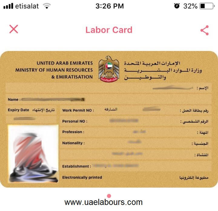 uae labor card sample