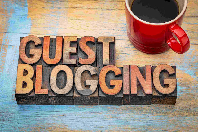Guest-Blogging-Services-Web-Expert_bro