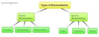 BIOREMEDIATION - A WALK THROUGH (#biotechnology)(#biochemistry)(#environmentalscience)(#ipumusings)