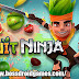 Fruit Ninja Mod Apk 