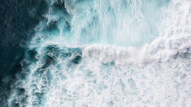 Test de literatura ambientada en el mar