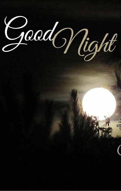 Good Night Images Pictures Good Night Images Pictures