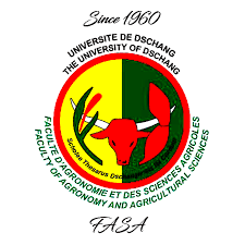 Programme de recrutement de jeunes diplômes (Graduate Program 2021)