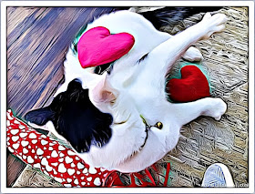 Catnip Hearts and Kicker Toy Crafting with Cats @BionicBasil® Smooch