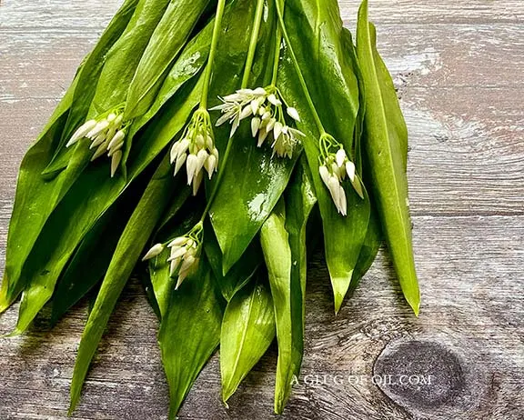 Wild garlic leaves and flowers on a wooden board.