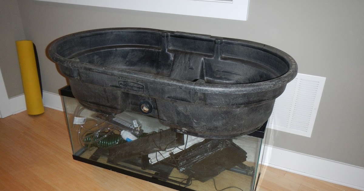 Aquaponics Sump Tank Design DIY Aquaponics at Home