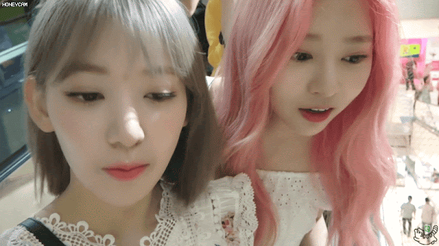 사쿠라  민주