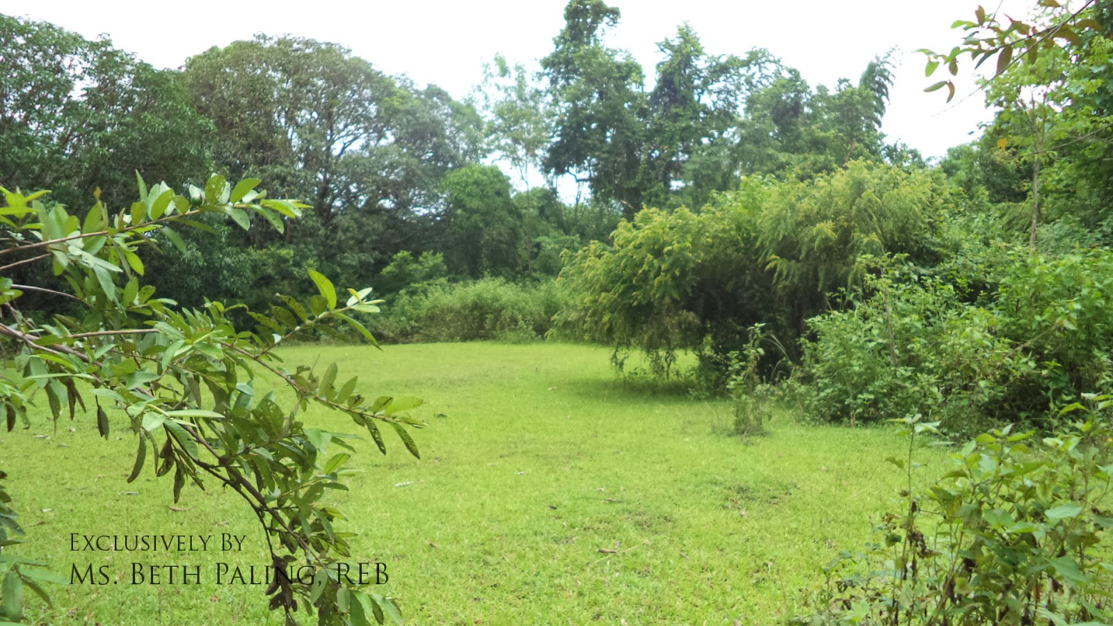 Pangasinan Properties Land for sale in Capulaan, Villasis, Pangasinan
